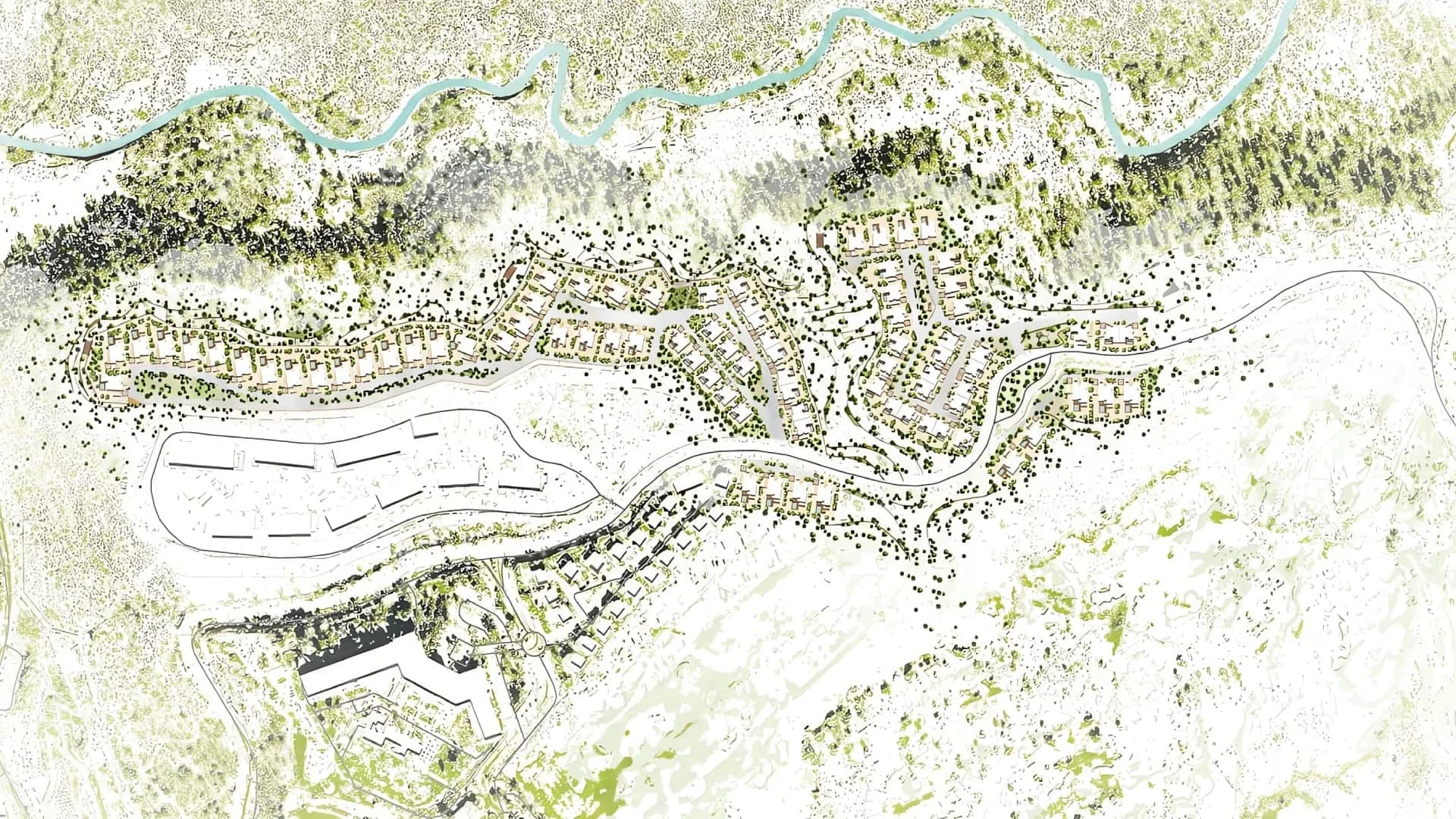 BURO BO Paysagiste au Maroc — texture végétale