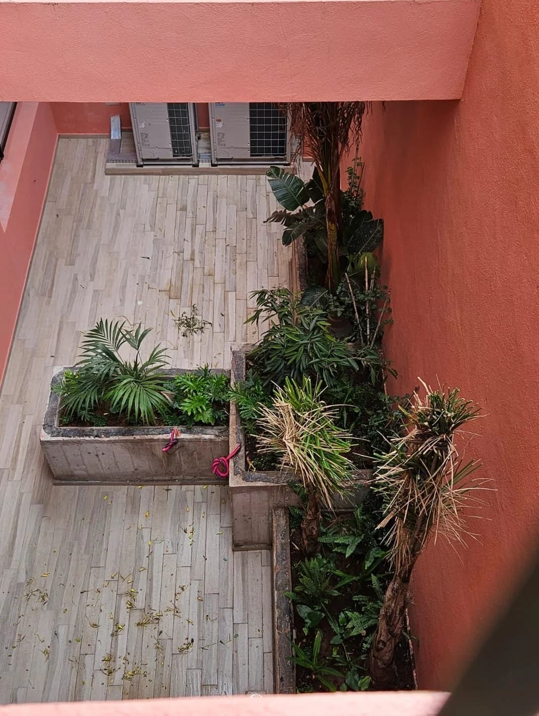 Sélection de jardins privés photo — Résidentiel à Maroc — BURO BO Architecte Paysagiste Casablanca